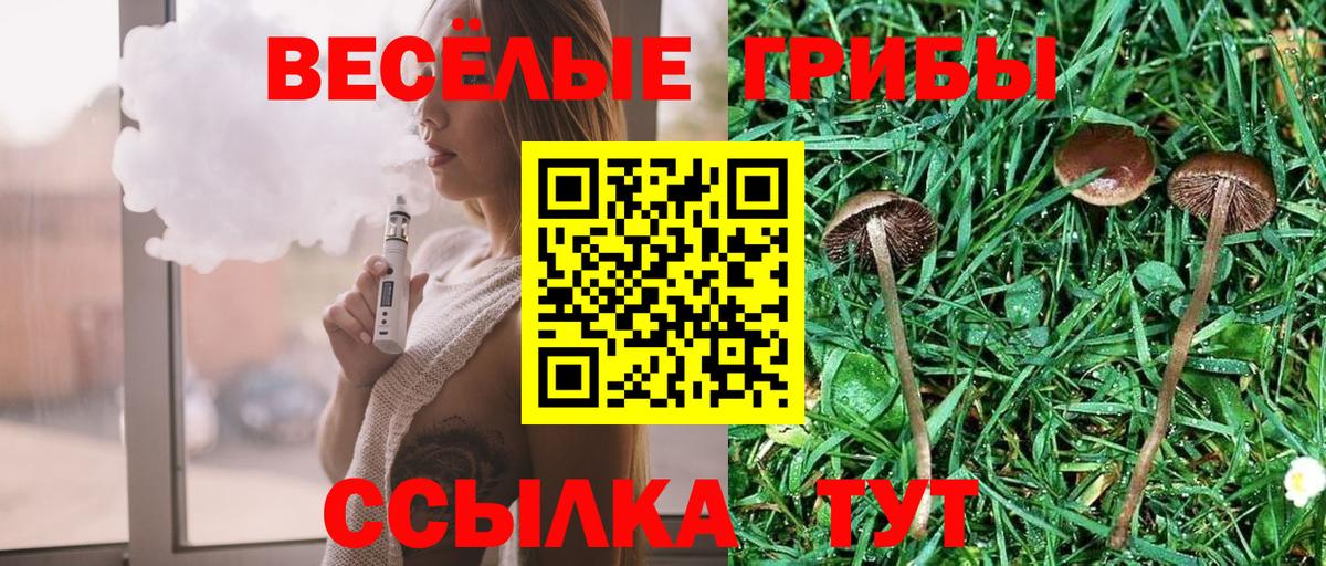 Псилоцибиновые грибы Magic Shrooms Каспийск